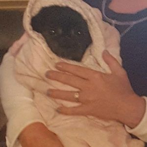 Meet your Posher, Renee